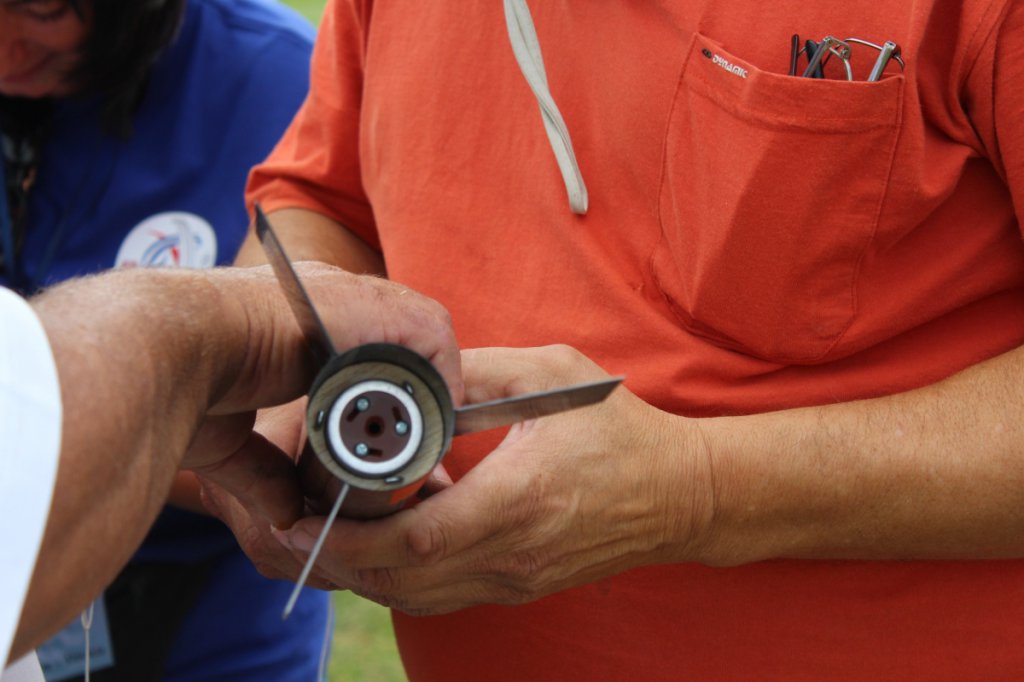 img_2166 ros ponorena do trupu